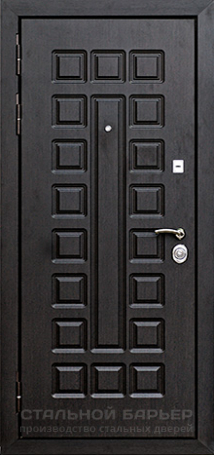 Дверь Порошок №12